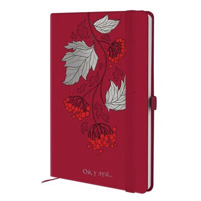 Записна книжка AXENT 8619 Partner Oy, u luzi  на гумці 96 аркушів клітинка