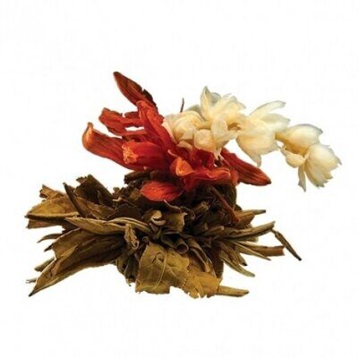 Чай зеленый "Юй Лун Тао (Нефритовый персик дракона)" 8г(+/-1г) 1шт/уп