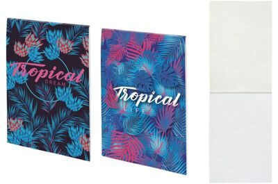 Блокнот-планшет AXENT A5, чистые 50л., картонная обложка