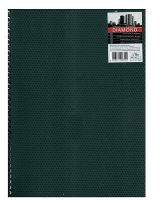 Тетрадь "PL" А4 80л. на пружине "DIAMOND / DOMINO" пластиковая обложка, зеленая  #