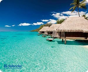 Коврик для мыши DEFENDER Silk Pad Nature шелковый, 220x180x1.6мм ассорти